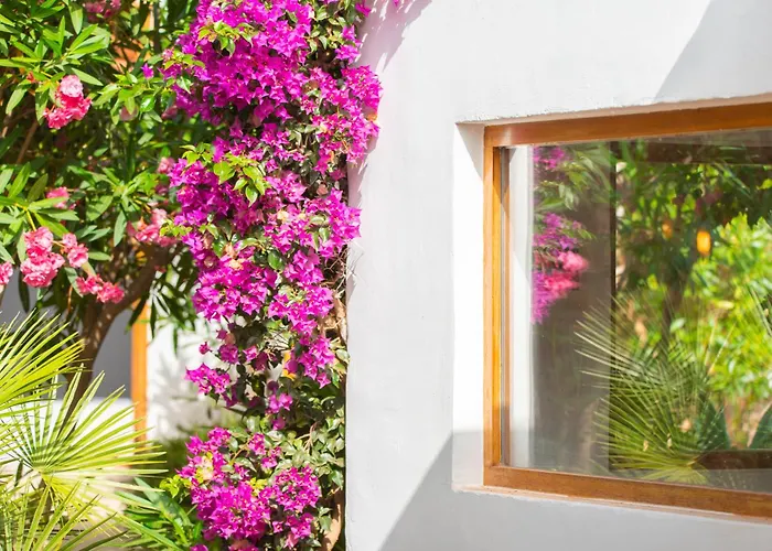 Villa Chic Ibiza Nearby Olivera