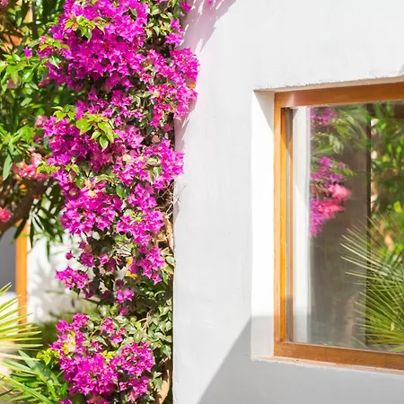 Villa Chic Ibiza Nearby Olivera